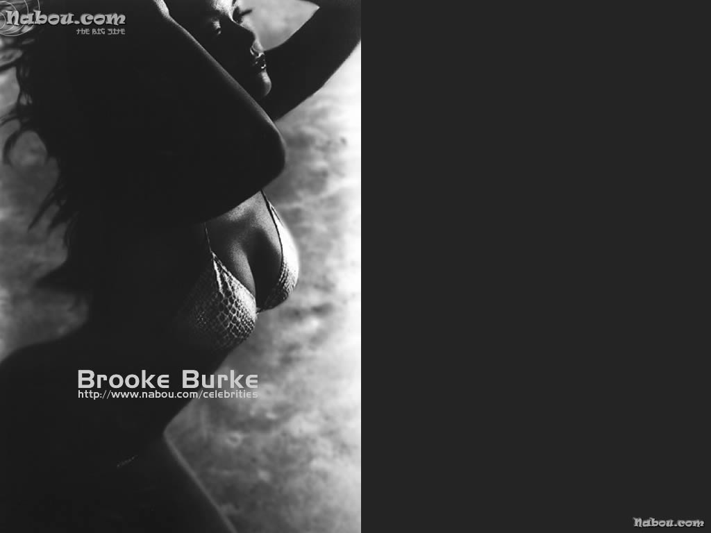 Brooke Burke Wallpaper - 1024x768 pixels