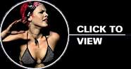 Pink Photos - Live in Concert : click to view