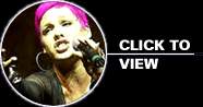 Pink Photos - Live in Concert : click to view