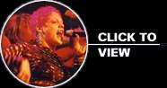 Pink Photos - Live in Concert : click to view