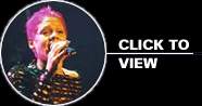 Pink Photos - Live in Concert : click to view