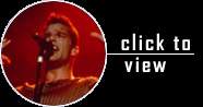 Ricky Martin Photos - Live in Concert : click to view