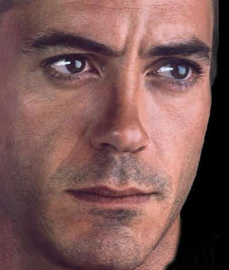 Robert Downey Jr. Picture