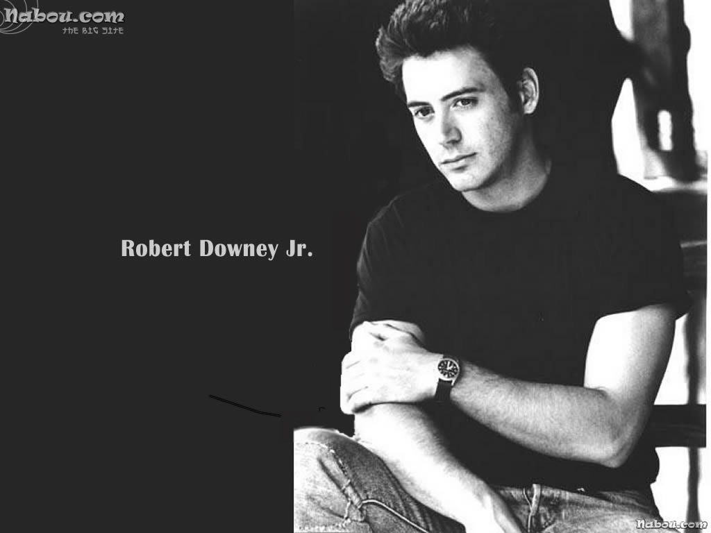 Robert Downey Jr. Wallpaper - 1024x768 pixels
